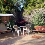 How to keep your garden pretty all year long